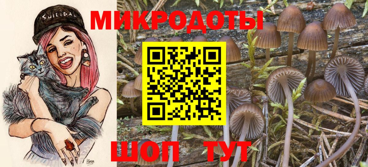 Псилоцибиновые грибы прущие грибы Шарыпово